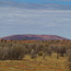 first view -- der erste Blick auf den Uluru, noch weit weg...