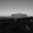 Uluru black / white