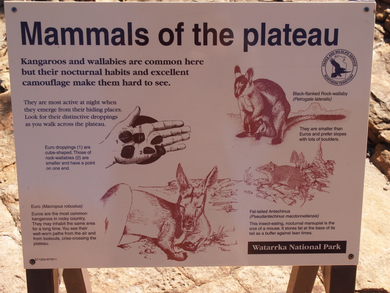 animals at Kings Canyon