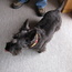 09_10_CanooCodeCamp 017.jpg -- 09_10_CanooCodeCamp 017