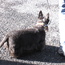 09_10_CanooCodeCamp 113.jpg -- 09_10_CanooCodeCamp 113