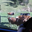 09_10_CanooCodeCamp 124.jpg -- 09_10_CanooCodeCamp 124