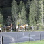 09_10_CanooCodeCamp 128.jpg -- 09_10_CanooCodeCamp 128