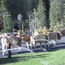 09_10_CanooCodeCamp 130.jpg -- 09_10_CanooCodeCamp 130