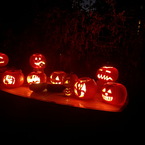 Halloween Pumpkins
